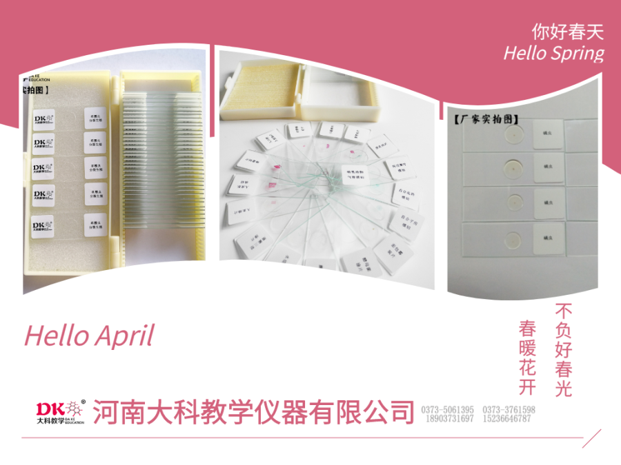 涂片、切片、裝片的區別?