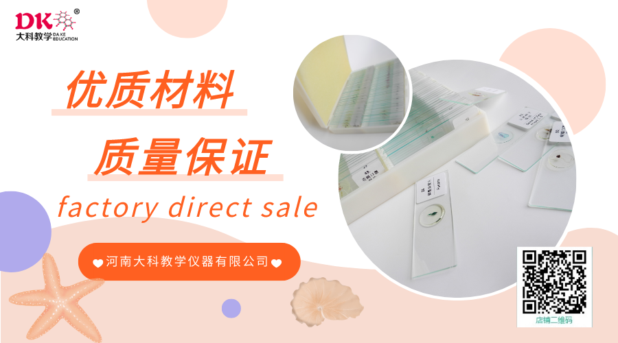 生物標本的裝訂工藝