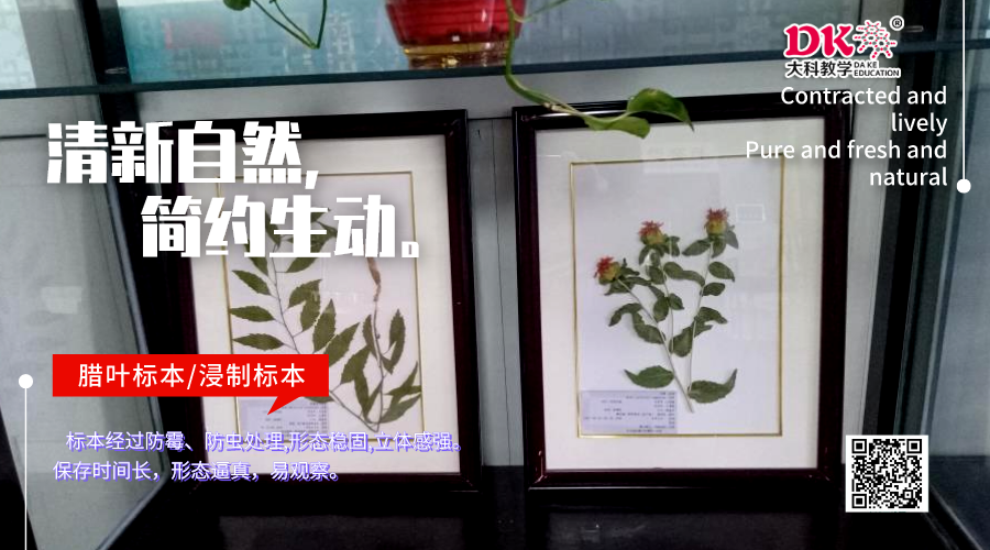 植物標本根據使用目的分類