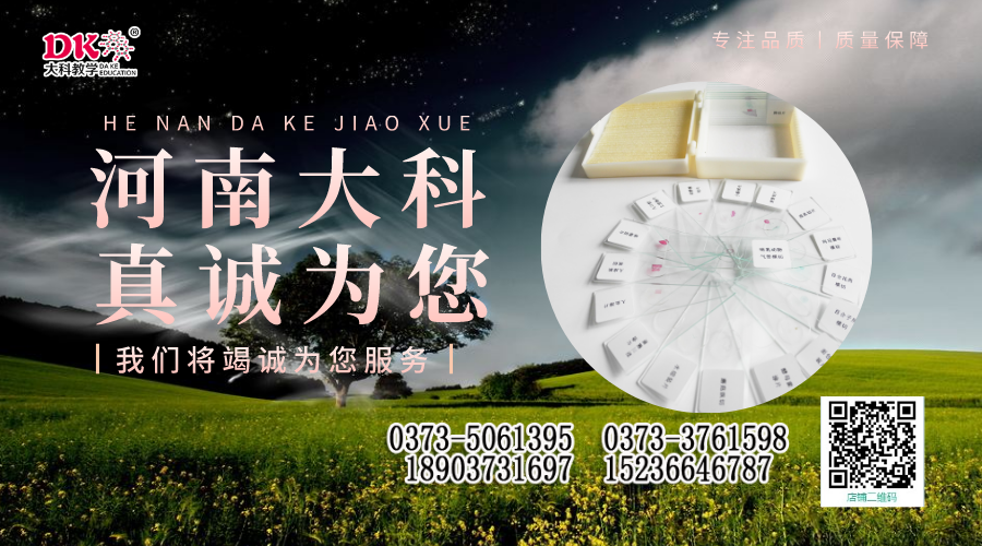 昆蟲標本的制作方法