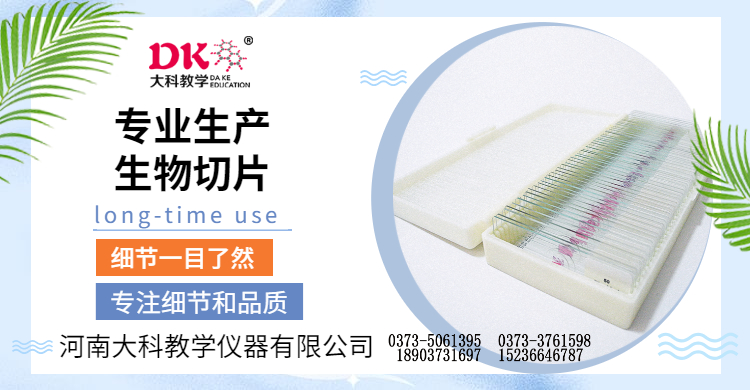 石蠟切片和冰凍切片的區別