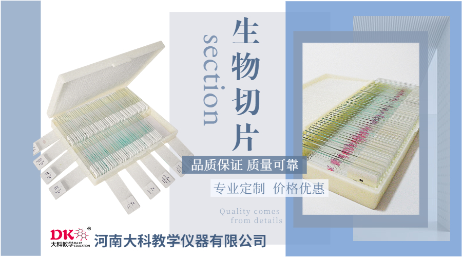 用顯微鏡觀察生物組織切片的具體步驟