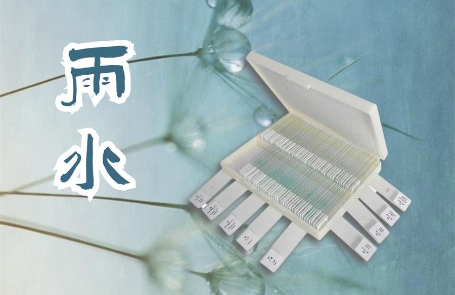 雨水，乍暖還寒