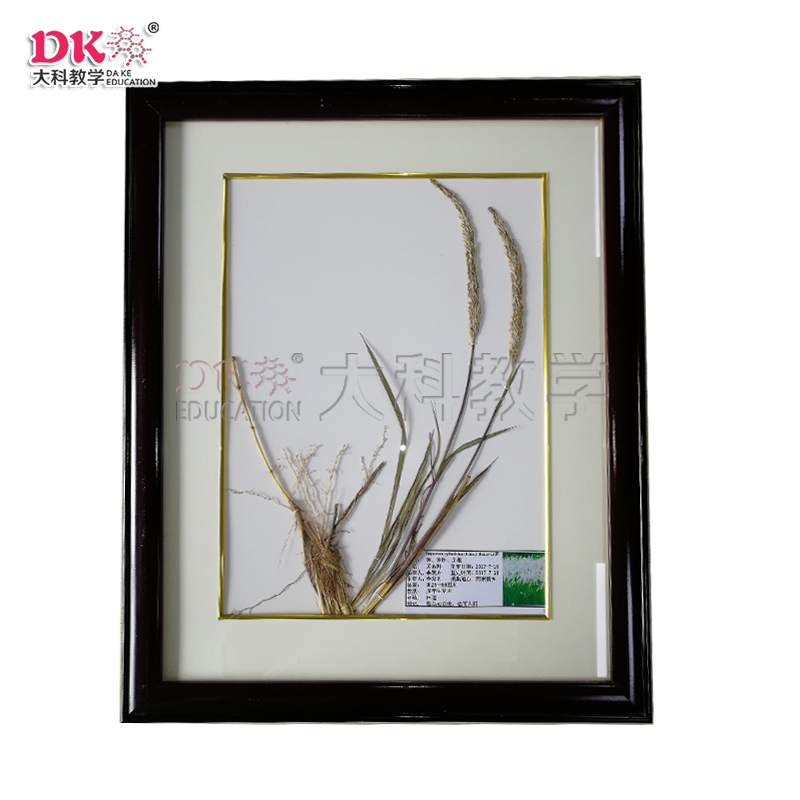 臘葉標本壓制時應該注意的幾種情況