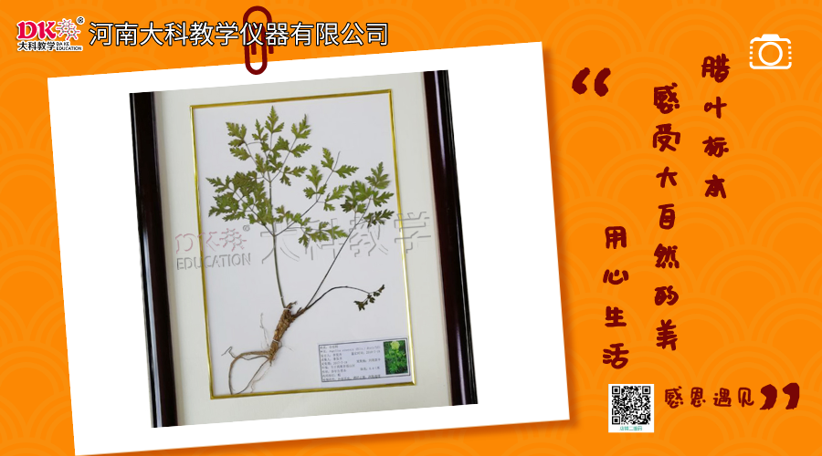 橫版海報_2020-05-28-1