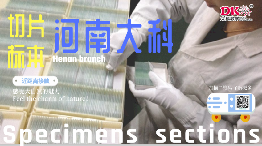 默認標(biāo)題_橫版海報_2020-07-15-0